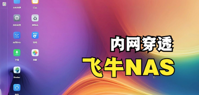 关于飞牛nas无法正常使用1panel的办法
